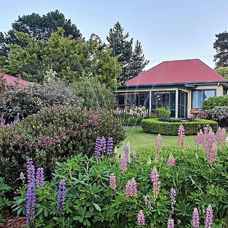 Hamlet Downs Country Accommodation Fentonbury Екстериор снимка